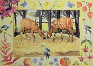 Bongo (mes de octubre de un calendario) de Vivika Alexander